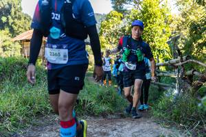 BIB: 2365
                            <button type="button" onclick="openModal(19306454)" class="btn btn-primary btn-sm float-right btn-popup" data-toggle="modal" data-target=".modal-high-quality">
                        <i class="fas fa-shopping-cart"></i> Add to Cart
                    </button>
                                            <button type="button" onclick="isThisMe(19306454, true)" class="btn btn-success btn-sm float-right btn-popup btn-isme hidden" data-toggle="tooltip" data-placement="bottom" title="นี่คือรูปของคุณใช่ไหม คลิกที่นี่เพื่อเอาเข้าอัลบั้ม">
                        <i class="fas fa-plus"></i> Add to album
                    </button>
                    <button type="button" onclick="isThisMe(19306454, false)" class="btn btn-warning btn-sm float-right btn-popup btn-isnotme hidden">
                        <i class="fas fa-ban"></i> Remove from album
                    </button>